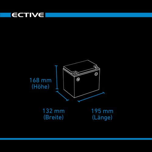 ECTIVE DC 38SC GEL Deep Cycle mit PWM-Ladegert und LCD-Anzeige 38Ah Versorgungsbatterie