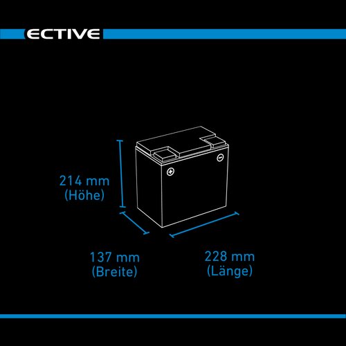 ECTIVE DC 65SC GEL Deep Cycle mit PWM-Ladegerät und LCD-Anzeige 65Ah Versorgungsbatterie