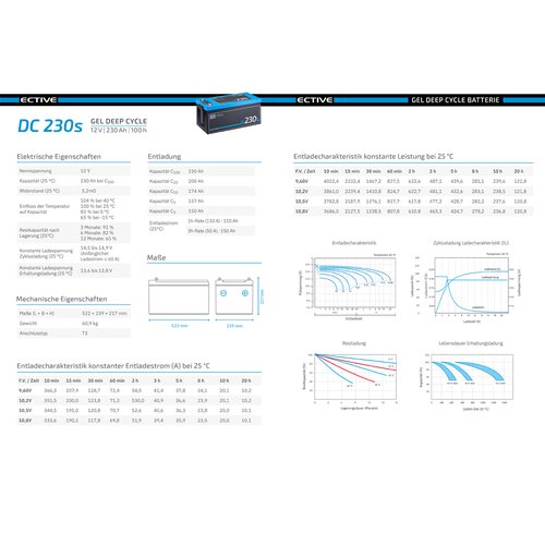 ECTIVE DC 230S GEL Deep Cycle mit LCD-Anzeige 230Ah Versorgungsbatterie