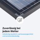 ECTIVE MSP 50 Black Monokristallines Solarmodul 50W