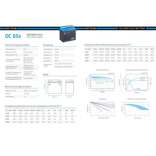 ECTIVE DC 65S AGM Deep Cycle mit LCD-Anzeige 65Ah Versorgungsbatterie (USt-befreit nach 12 Abs.3 Nr. 1 S.1 UStG)