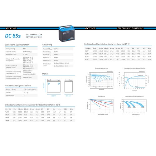 ECTIVE DC 65S GEL Deep Cycle mit LCD-Anzeige 65Ah Versorgungsbatterie (USt-befreit nach 12 Abs.3 Nr. 1 S.1 UStG)