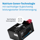 ECTIVE NaC 40 BT 12 V Natrium Moverbatterie 40 Ah